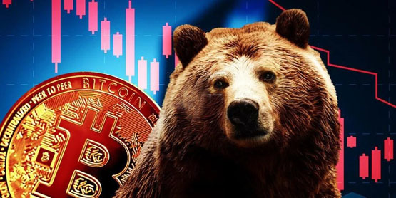 TokenInsight最新季度评级回顾有哪些亮点？